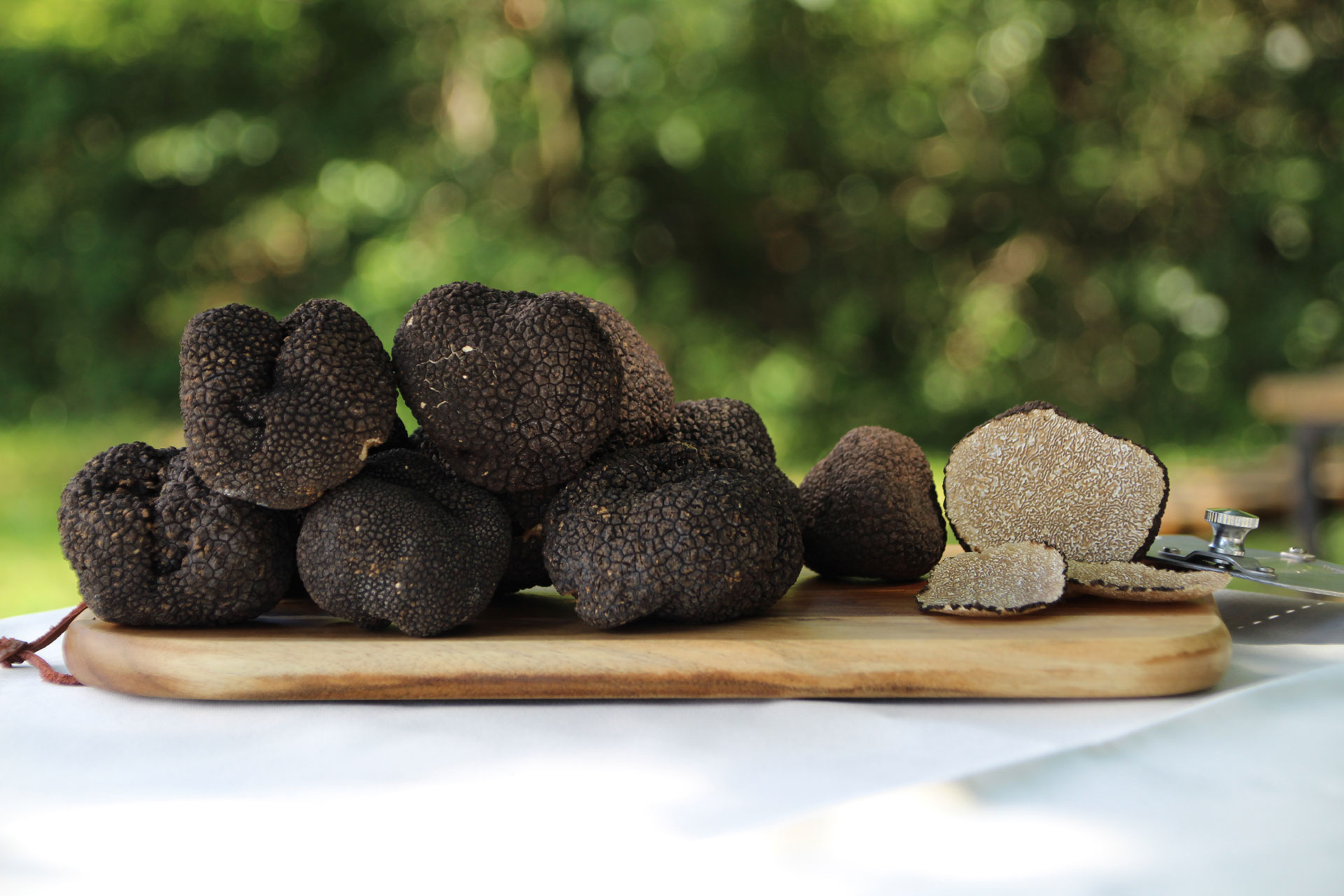 Intro image Nara Truffles